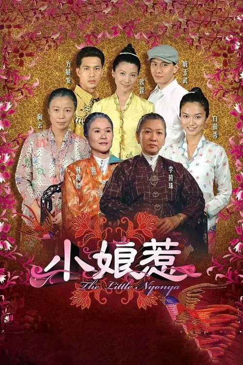 The Little Nonya poster