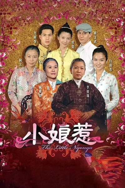 The Little Nonya poster