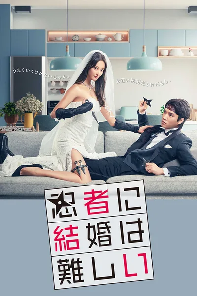 Marriage Is Difficult for a Ninja poster