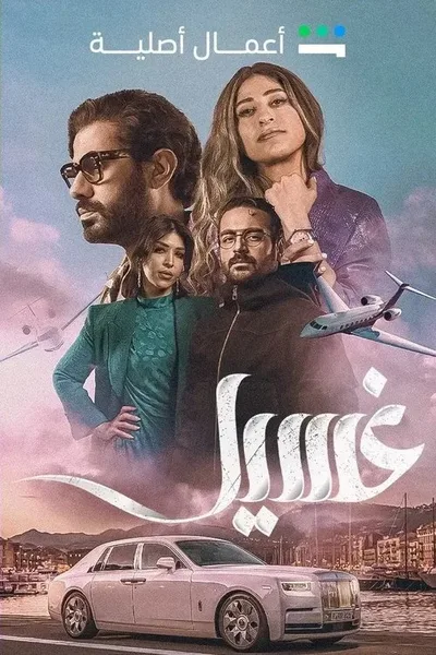Laundry poster