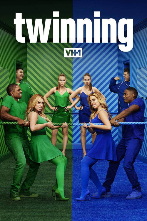 Twinning poster