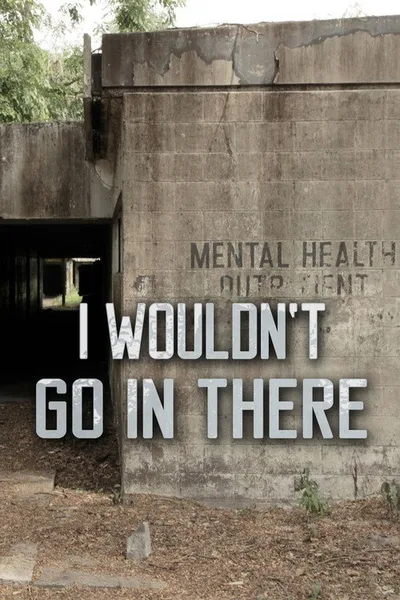 I Wouldn't Go in There poster