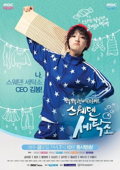 Sweden Laundry poster