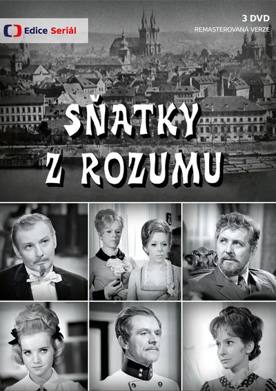 Snatky z rozumu poster