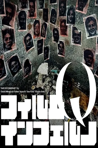 Fake Documentary Q poster