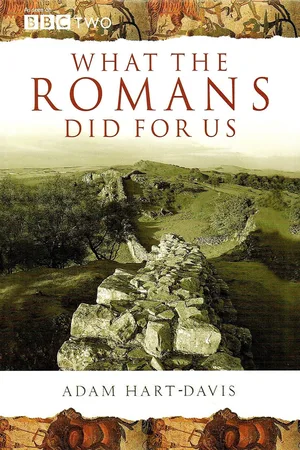 What the Romans Did for Us poster