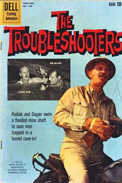 Troubleshooters poster
