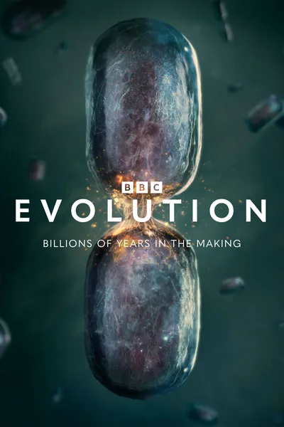 Evolution poster