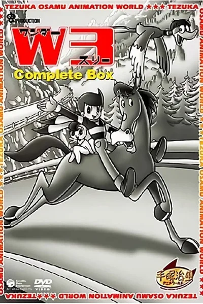 Wonder 3 poster