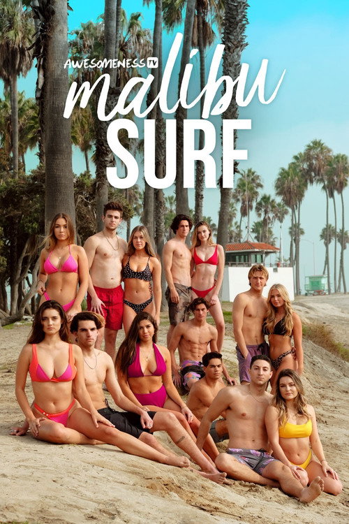 Malibu Surf poster