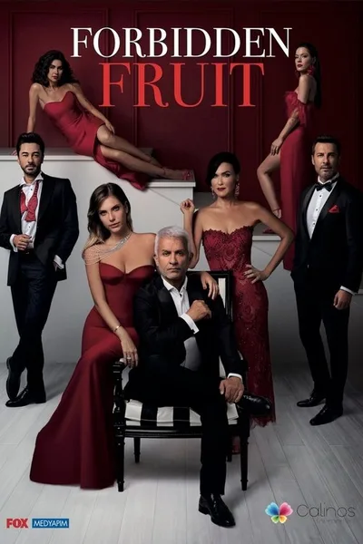 Forbidden Apple poster