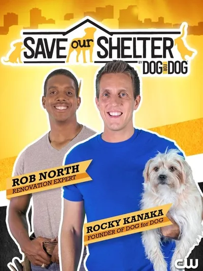 Save Our Shelter poster