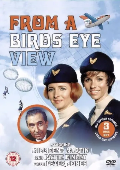 From a Bird's Eye View poster