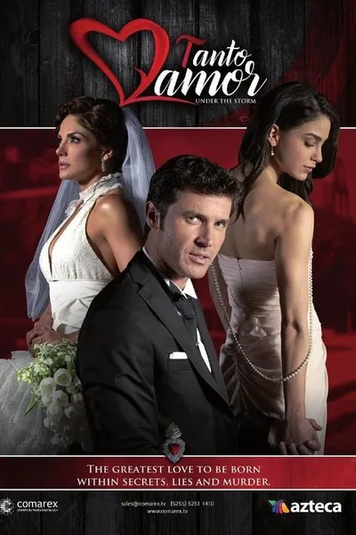 So Much Love poster