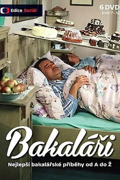 Bakalári poster
