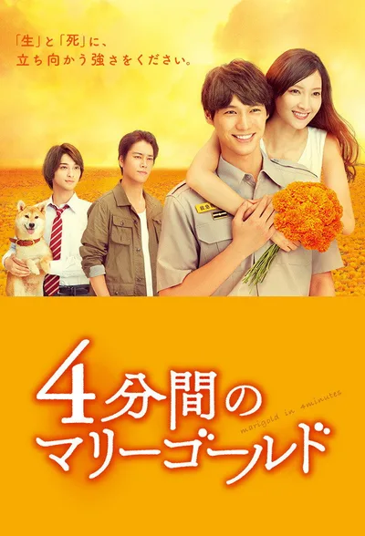 Marigold in 4 Minutes poster