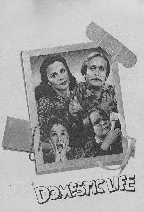 Domestic Life poster