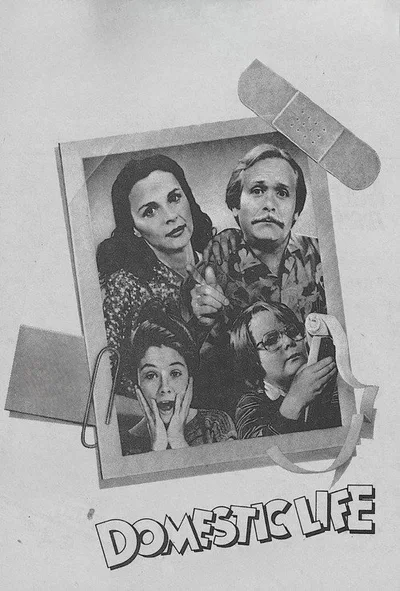 Domestic Life poster