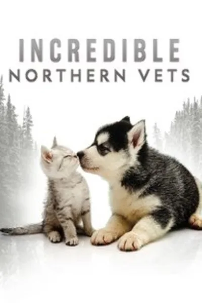 Incredible Northern Vets poster