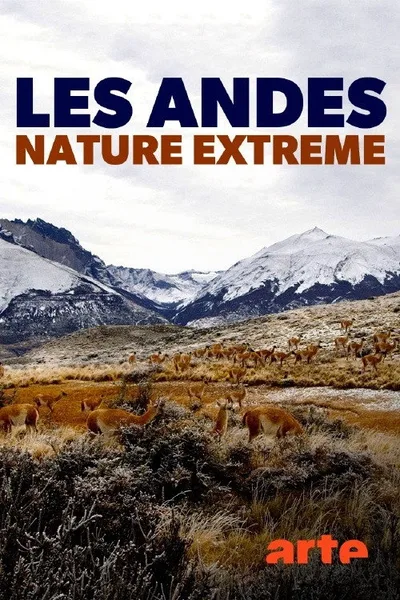 The Wild Andes poster