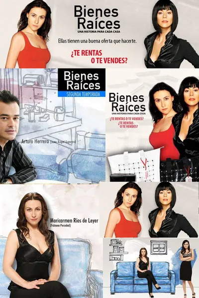 Real Estate poster