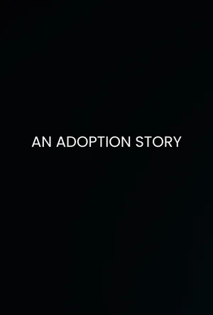 An Adoption Story poster