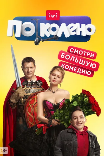Po koleno poster