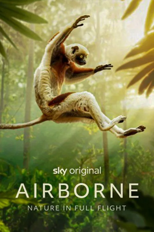 Airborne poster