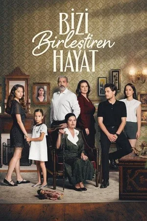Bizi Birlestiren Hayat poster