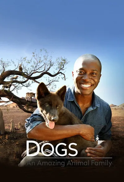 Dogs: An Amazing Animal Family poster