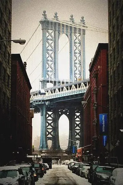 Brooklyn DA poster