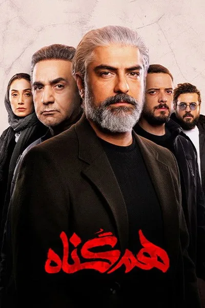 The Accomplice poster