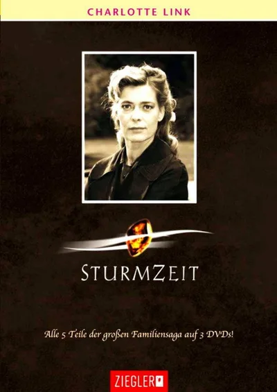 Riding the Storm poster
