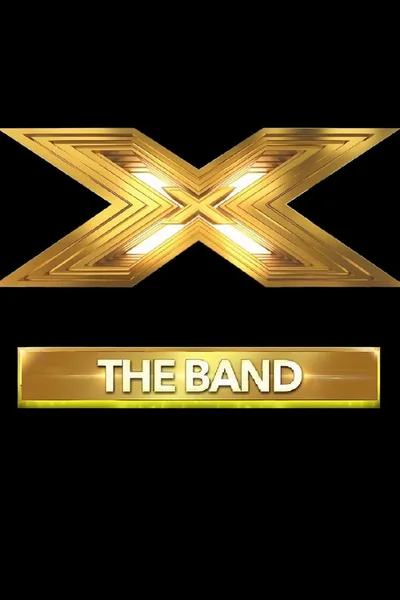 The X Factor: The Band poster