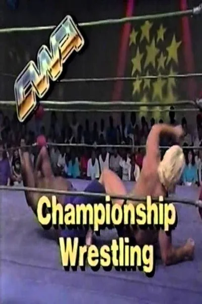 Wrestling poster