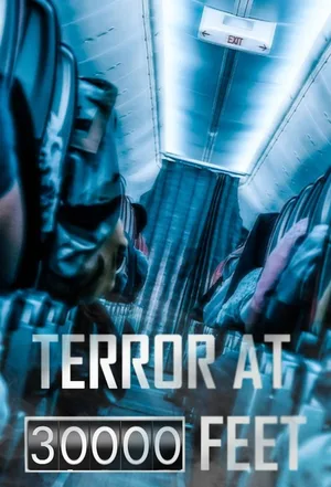 Terror at 30,000 Feet poster