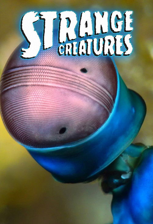 Strange Creatures poster