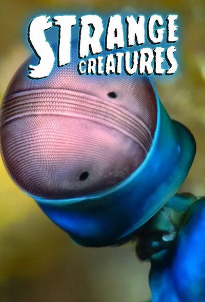 Strange Creatures poster