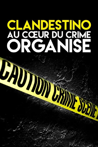 Clandestino poster