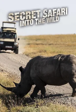 Secret Safari: Into the Wild poster