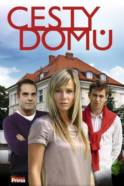 Cesty domu poster