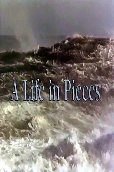 A Life in Pieces poster