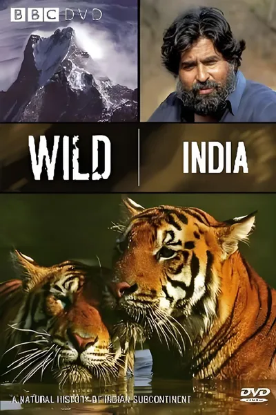Land of the Tiger poster