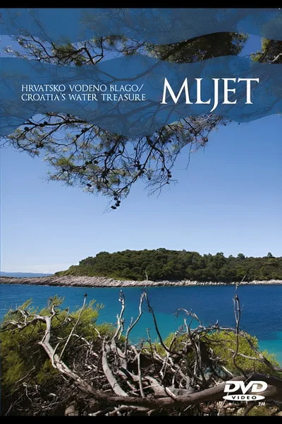 Aquatic Treasures of Croatia poster