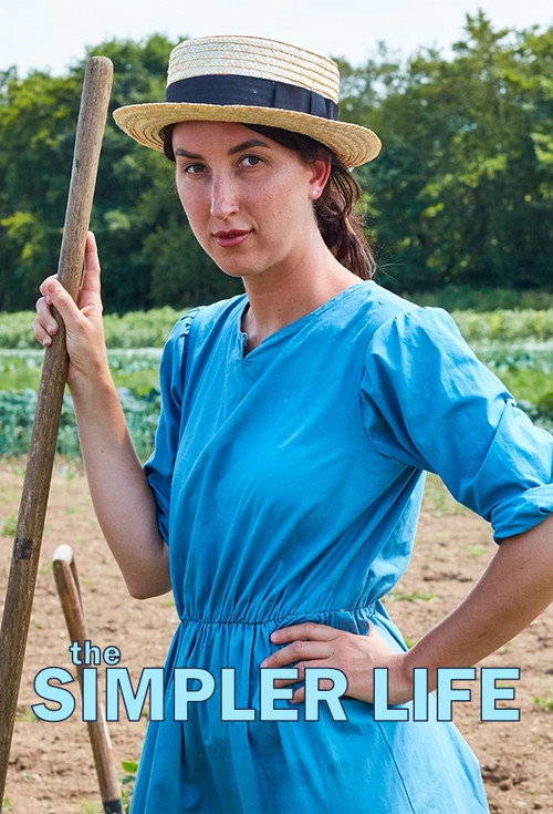 The Simpler Life poster