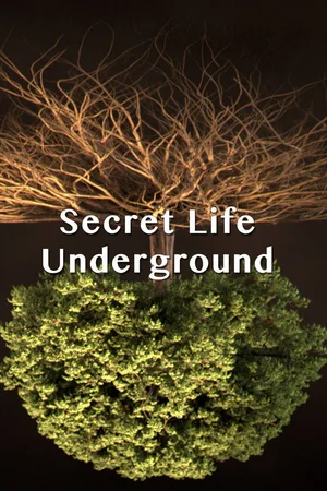 Secret Life Underground poster