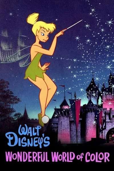 The Magical World of Disney poster