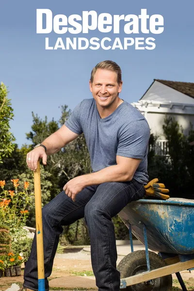 Desperate Landscapes poster