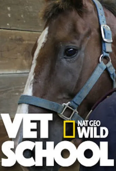 Vet School poster