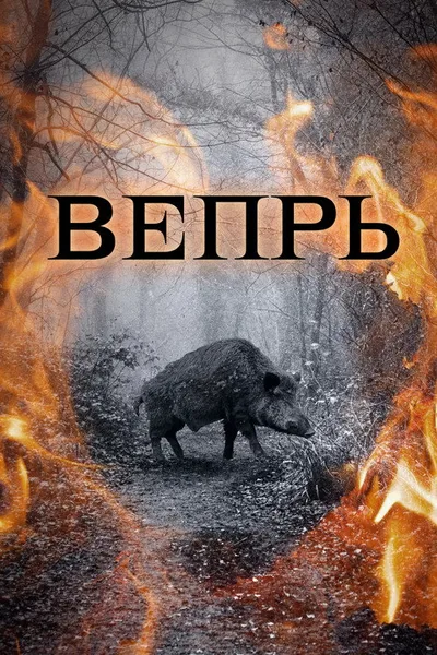 Vepr poster